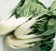 Pok Choi Seeds | Bok Choi